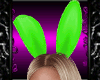 *D*Play*B* Bunny Lime