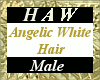Angelic White Hair - M