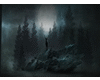 Dark forest fantasy