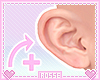 Orelha KID / Ear KID