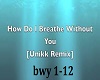 Breathe W/out You Remix