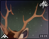 Stag | Antlers