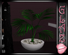 Dusk Plant