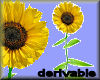 Sunflower ( Derivable )