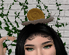 snail pet ⋆˚