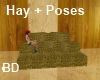 [BD] Hay+Poses