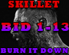 SKILLET-BURN IT DOWN
