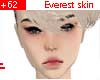 +62 Everest skin