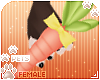 [Pets]Binky |held carrot