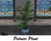 Palmier Plant