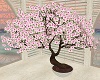 [ES] Japan Cherry Tree