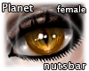 n: cat's eyes gold /F