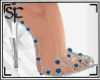 SF Blue Heels