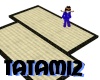 Tatami2