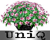 UniQ Pink Flowers