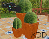 *KDD Garden decoration 2