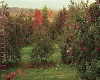 Apple Orchard Mobile BG2