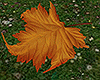 magic world leaf - 3