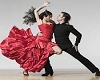 Flamenco Pic 3
