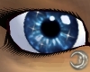 DW1 Eyes {SAPPHIRE STARD
