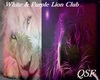 [QSF]White & Purple Lion