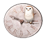 owl watch