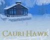 Winter Cabin CW