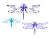 *JC*Flying Dragonflies
