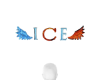 ICE NamE