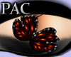 *PAC* Butterfly Dream Or