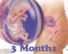 3 Months Pregnant Scaler