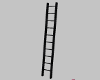 Black Star Ladder