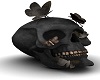 Moth Skull /Gee