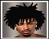 *Lion Locs*