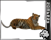 TIGER PET