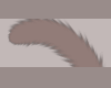 Cat Tails Tiramisu