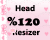 IlE Head Scaler 120%