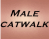 Pict Male catwalk