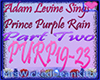 Purple Rain Pt2 Prince 