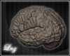 L* Brain