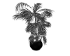 Glow Goth plant