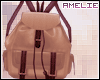|A| Brown bag