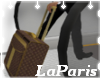 (LA) LV Suitcase w/Pose