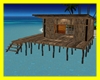 Beach House