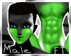 (M)WhtBlkGrn Fur [FT]