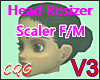 CG: PerFect HEAD *V3