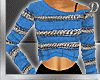 ~D~Blue Gold Sweater