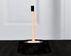 Toilet Brush