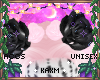 ꨄBlossom Rosesꨄ