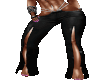 pant black sexy